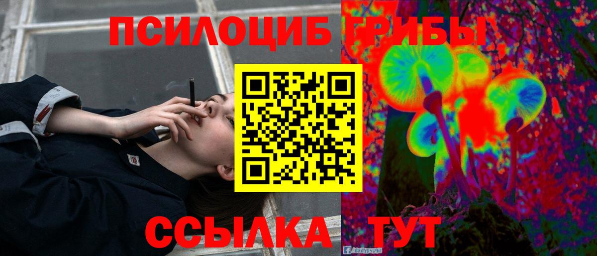 Юрга  Галлюциногенные грибы Psilocybe  Вход с VPN 
